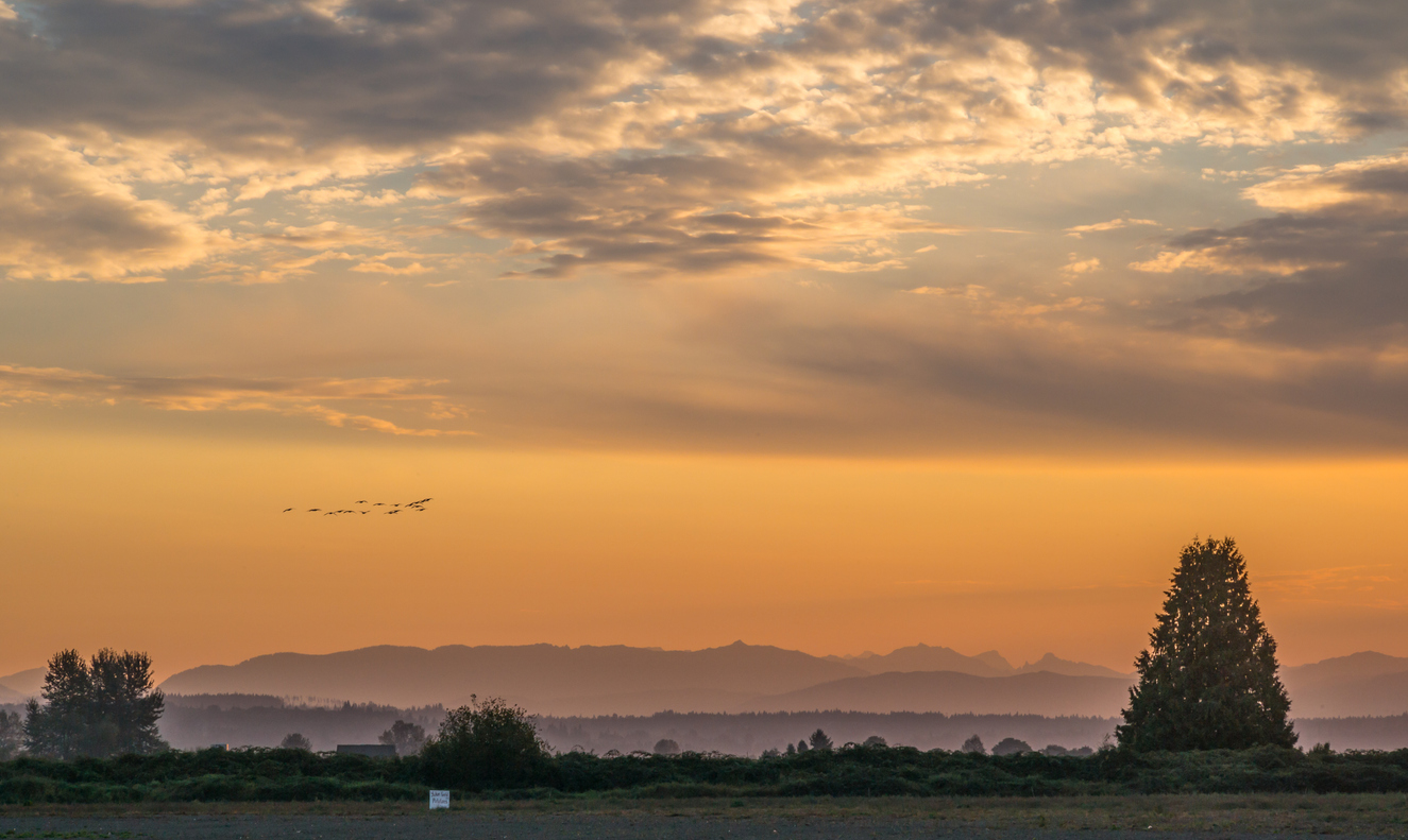 Colorful sunrise over a fog-covered landscape in Snohomish, Washington, with the Cascade Mountains in the background and a flock of geese flying in the sky.
