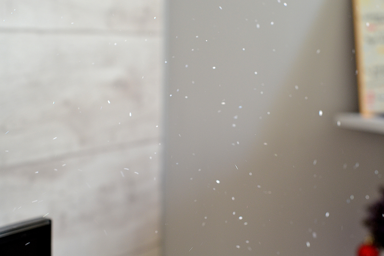 How to Test Air Quality in Your Home & Combat Allergy Season